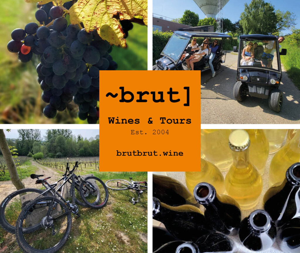 Brut wines and tours op wijnroute met e-wheels & lokale wijn proeven