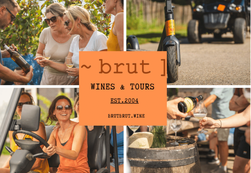 Brut wines & tours since 2004 - wijn proeven staat voorop