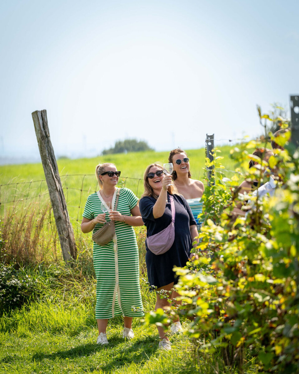 brut-wines-tours Proefrek